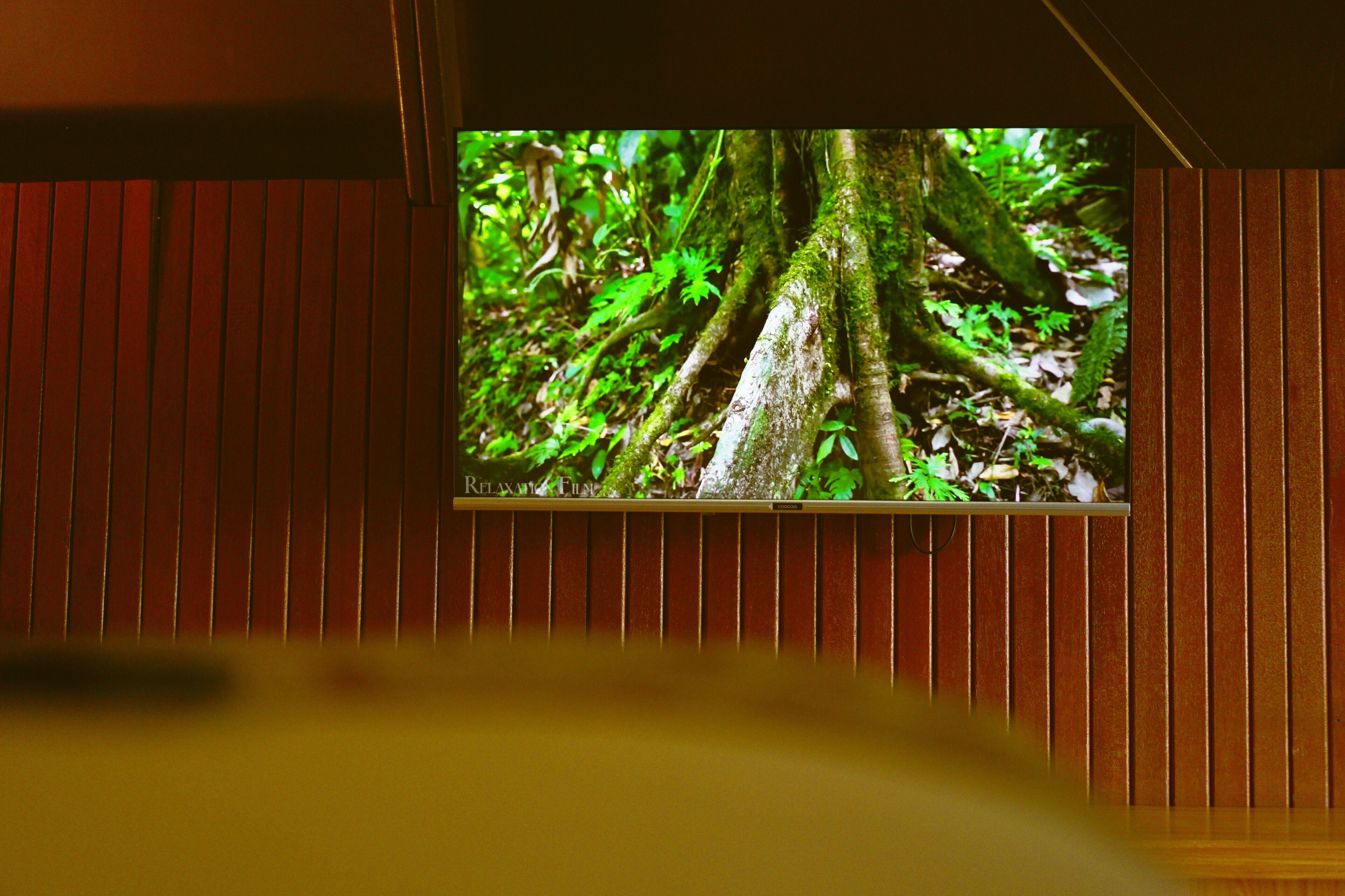 A television mounted on a wooden wall displaying a forest scene.