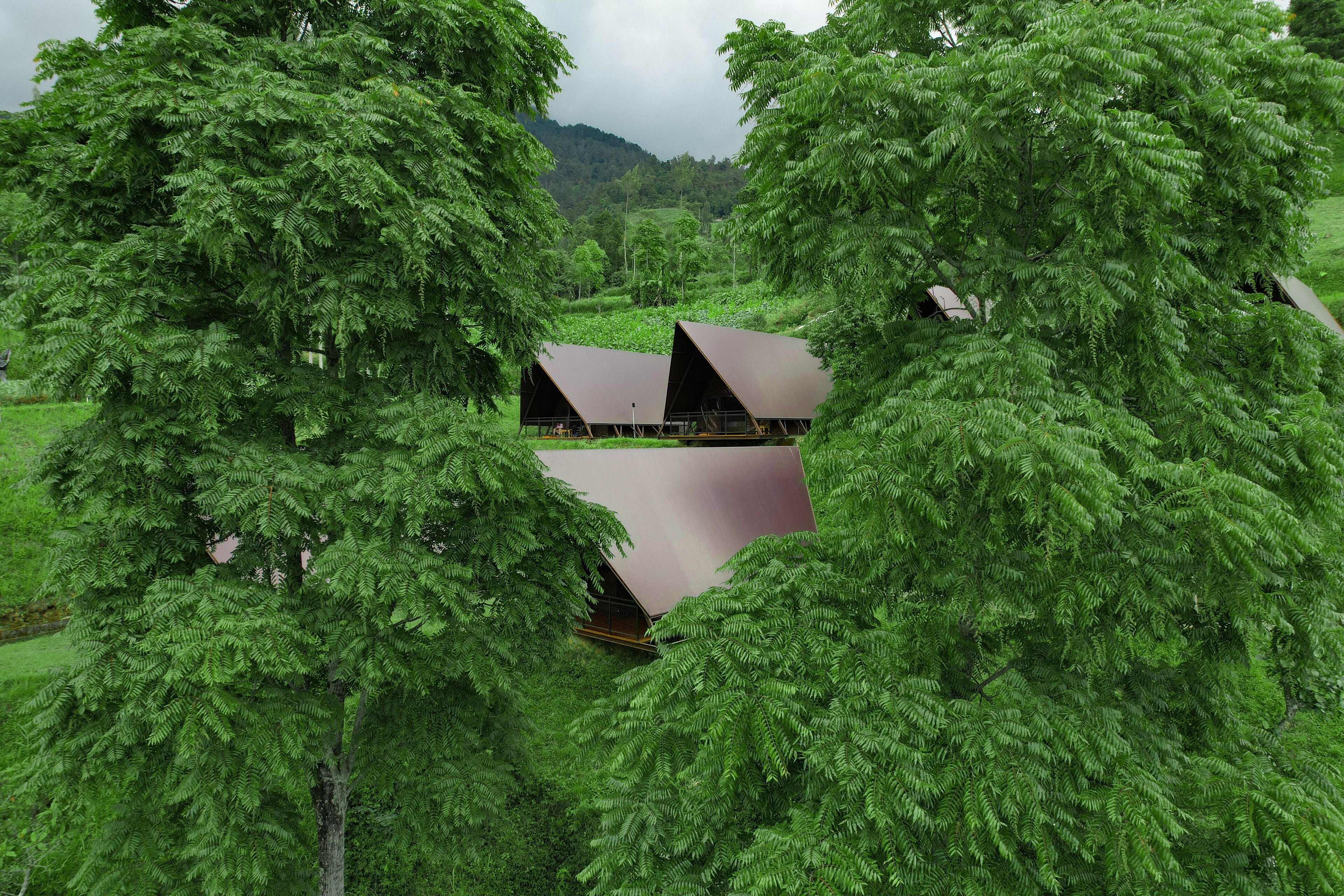 A secluded, modern treehouse-style accommodation nestled among lush green trees, with a clear view of the surrounding natural landscape.