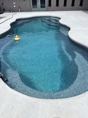 A swimming pool with a rubber duck, surrounded by a concrete deck.