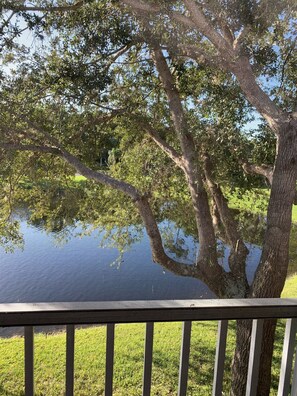 Property grounds - Relax in the lifestyle of true Florida living! Close to beaches and shopping. (Bonita Springs)