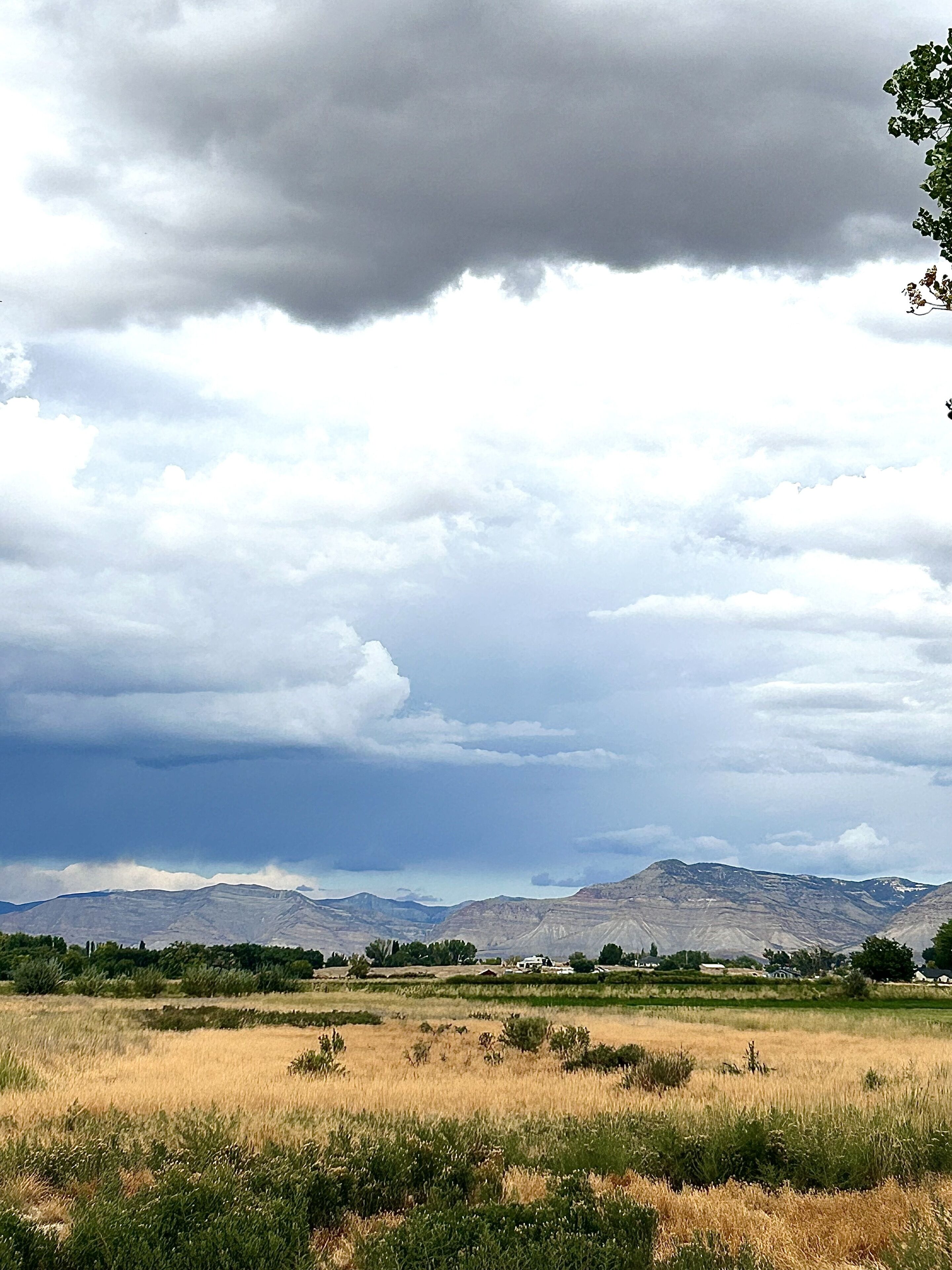A wide landscape with a field in the foreground and mountains in the background under a cloudy sky.