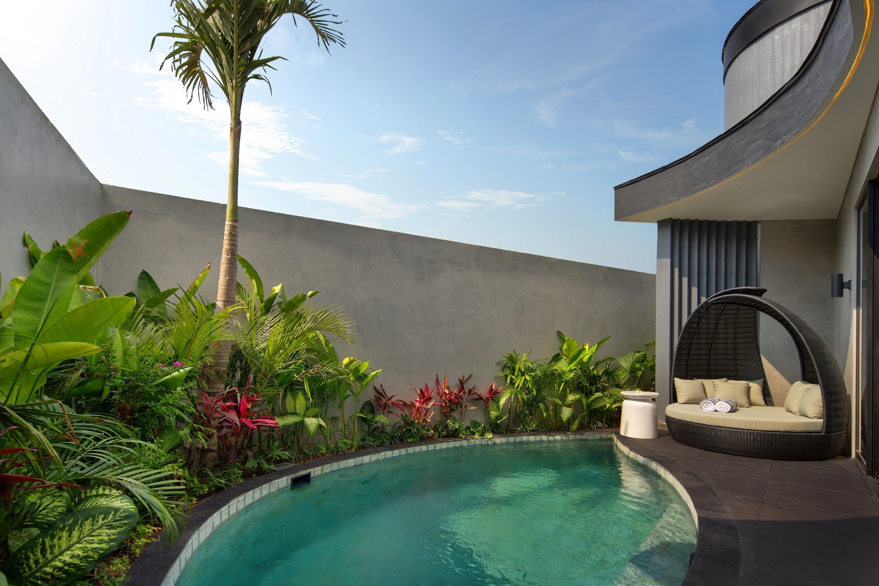 A modern pool area with a curved wall, a hanging chair, and lush tropical plants.