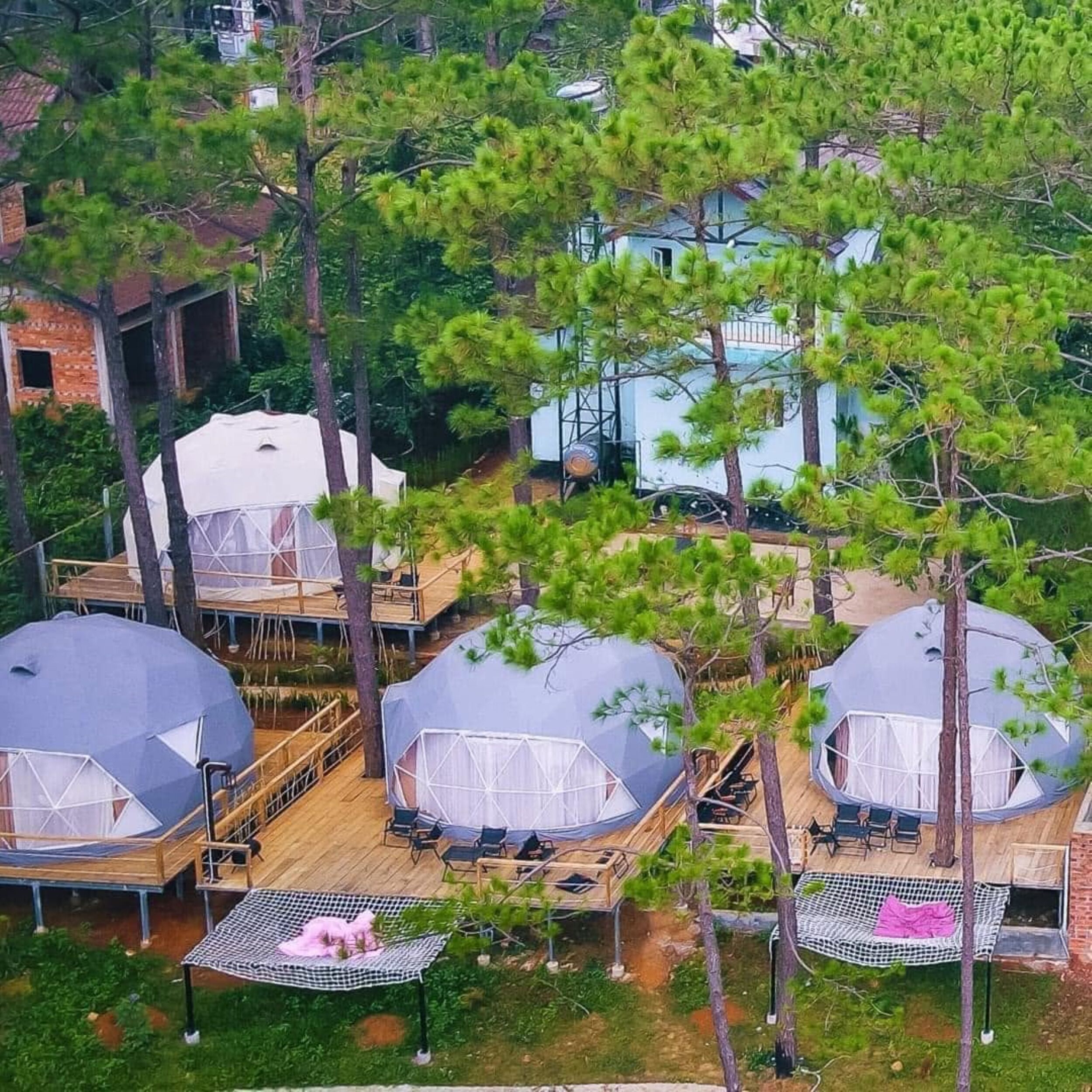 Bungalow, vistas al jardín | Vistas desde la habitación