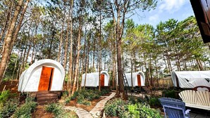 Une rangée de tentes en forme de dôme, installées dans un cadre forestier, avec un sentier pavé de pierres menant à elles.