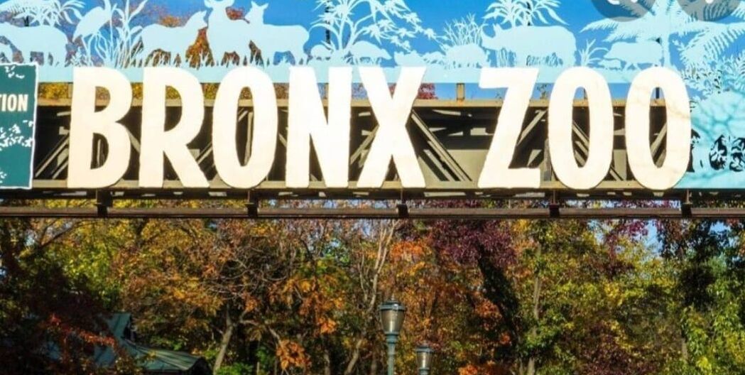 Une enseigne indiquant l’entrée du zoo du Bronx, avec en arrière-plan le feuillage automnal.