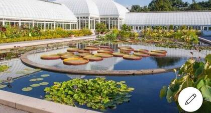 Lovely 2 bedroom unit in private house.