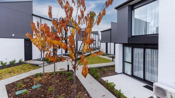 A modern building with a tree in the courtyard.