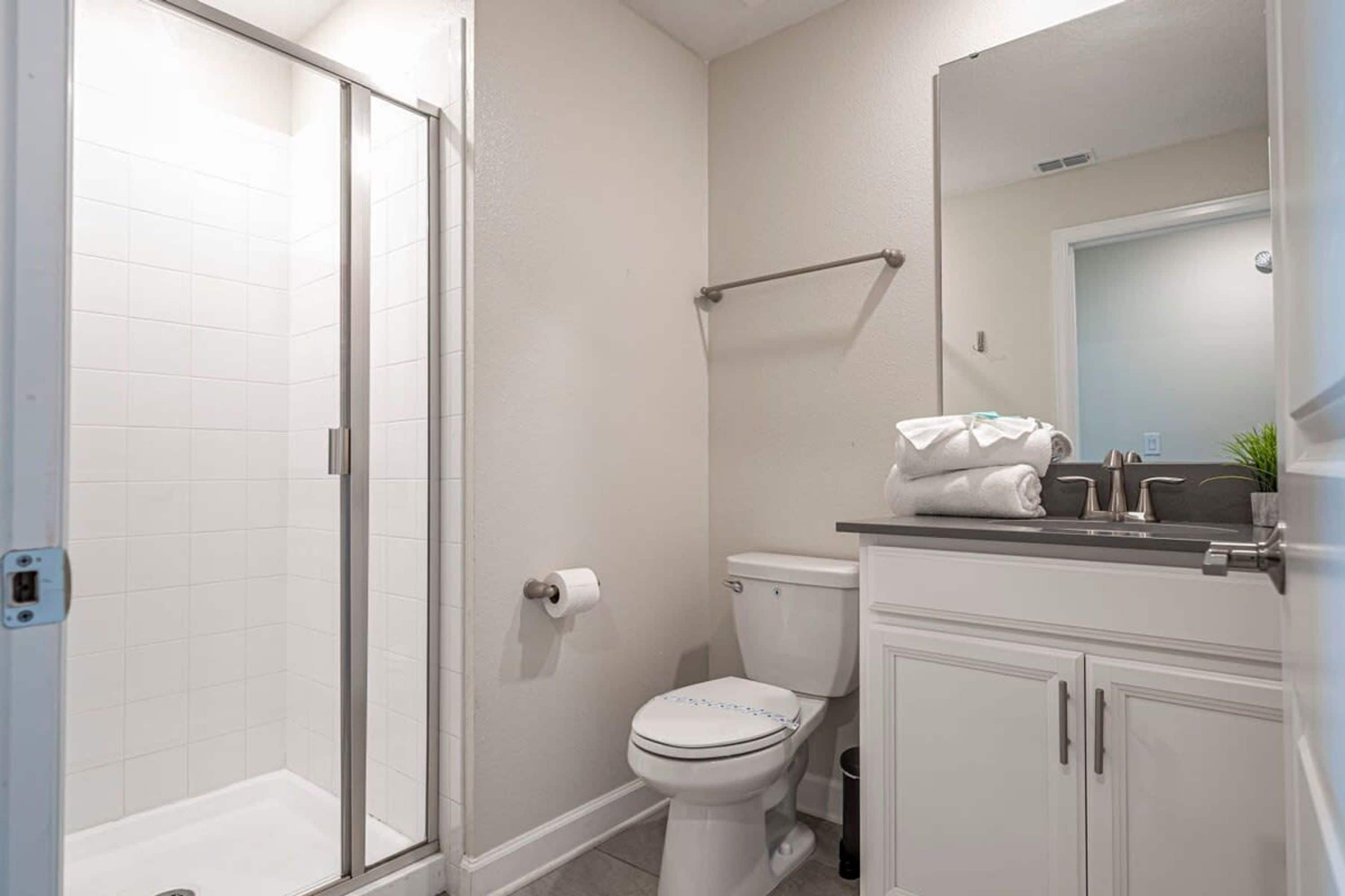 A bathroom with a glass shower enclosure, a toilet, a sink with a towel rack, and a mirror above the sink.