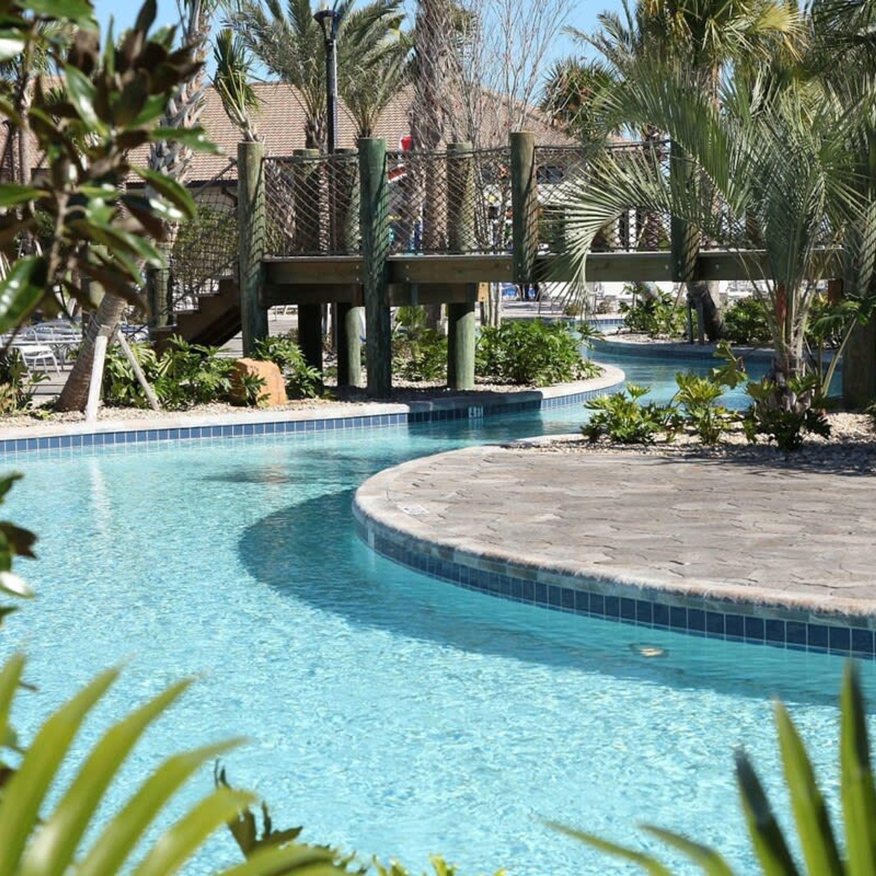 Ein Pool mit geschwungener Form, umgeben von Palmen und einem Zaun.