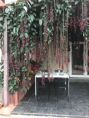 Un coin repas avec une table dressée pour quatre personnes, entouré de plantes suspendues et de verdure.