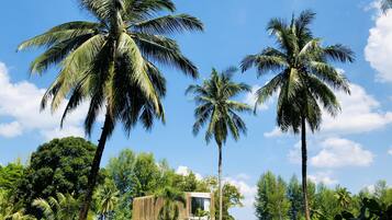 1 bedroom, premium bedding, minibar, in-room safe