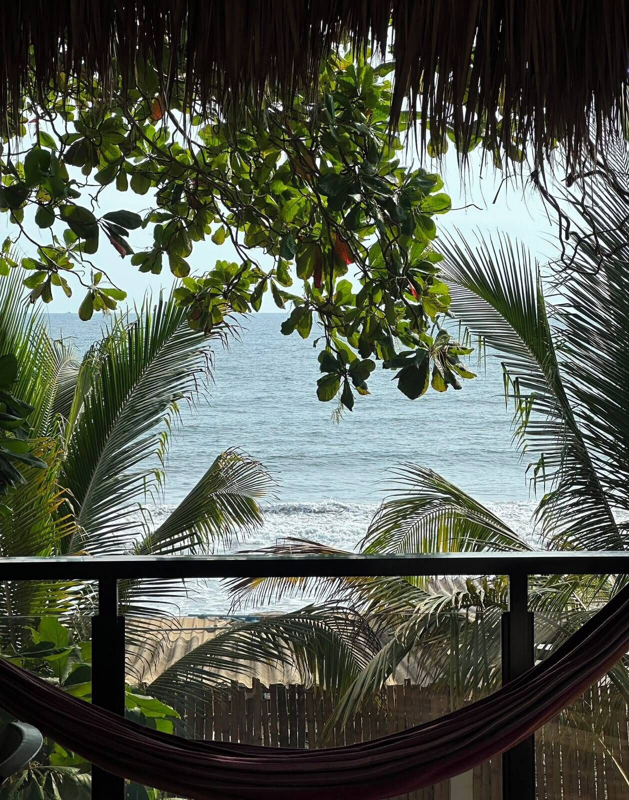 Una hamaca con vista al océano y palmeras.