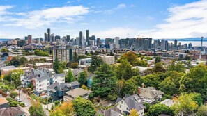 A residential area with houses and a city skyline in the background. - The Sweet Suite in the North (Seattle)