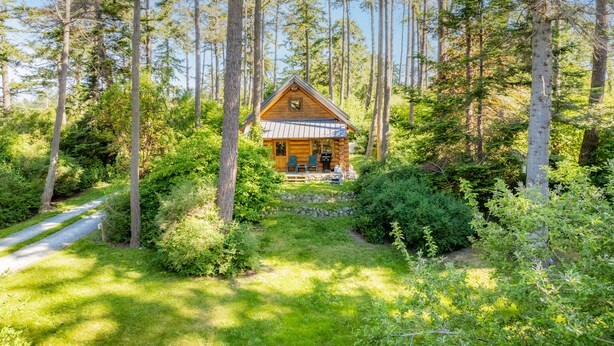 En stuga omgiven av höga träd och tät vegetation, med en tydlig stig som leder fram till ingången.
