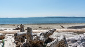 Una playa con madera a la deriva y una vista despejada del océano y montañas distantes.
