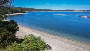 Ein klarer Blick auf einen ruhigen See mit einem Sandstrand und einem dichten Wald im Hintergrund.