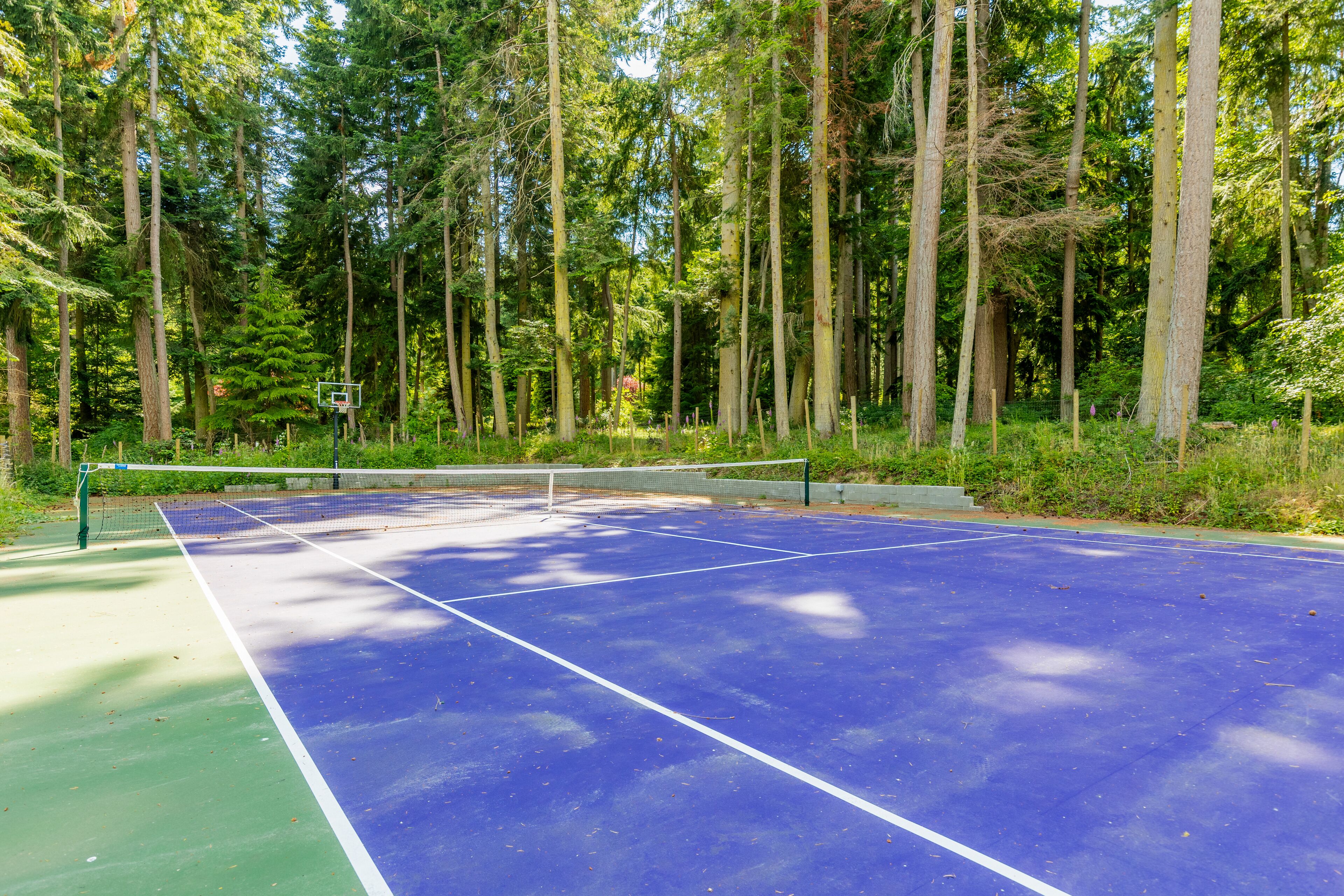 Un campo da tennis all'aperto circondato da alberi alti.