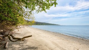 Une plage de sable avec un arbre renversé, un ciel dégagé et une eau calme.