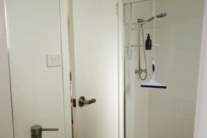 Shower, hair dryer, toilet paper