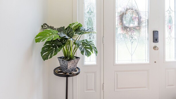 A hallway with a potted plant, a door with a frosted glass panel, and a light fixture on the wall.
