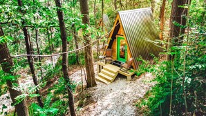 Une petite cabane en bois avec une porte verte, entourée d’arbres dans une forêt.