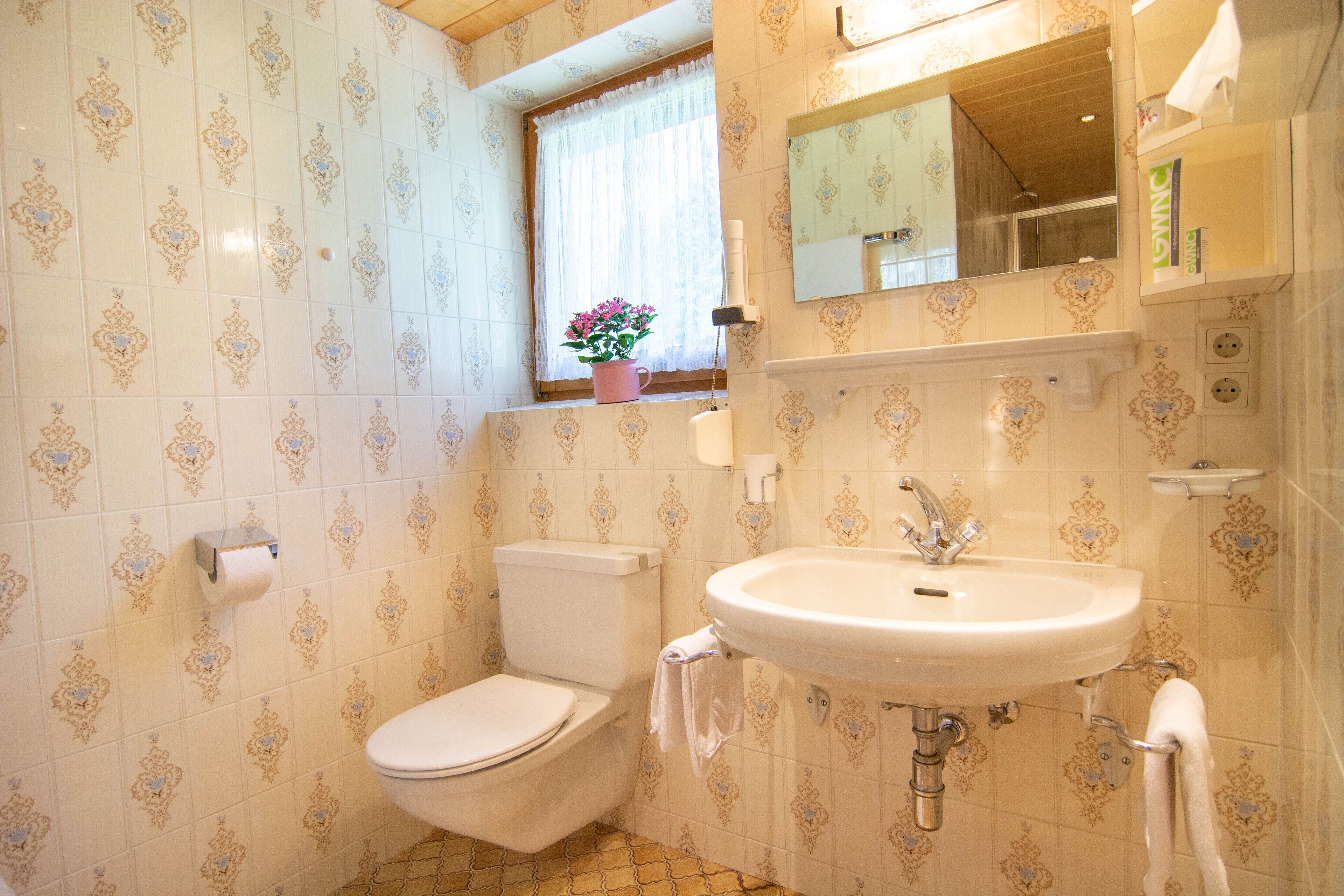 A bathroom with a toilet, sink, and window with a potted plant.
