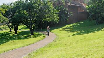 A paved path in a park with trees and a building in the background.