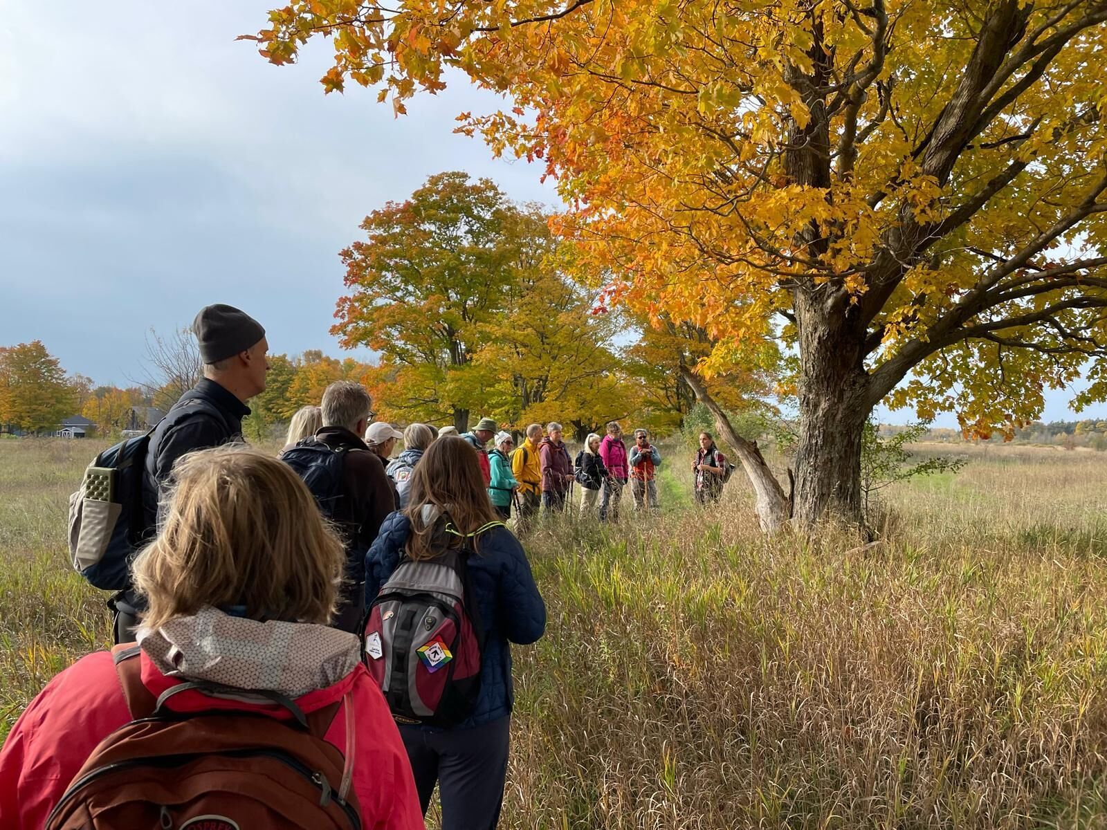 A group of people walking along a path in a natural setting with trees displaying autumn foliage.