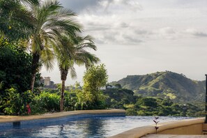 Une piscine à bord incurvé, entourée d’une végétation luxuriante et de palmiers.