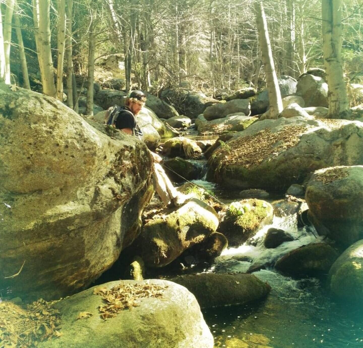 15 Off June! Sequoia A Frame W\/Spa, River, Hiking, Pets, Springville