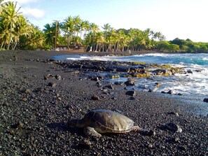 Plage à proximité