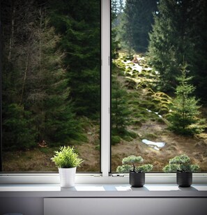 Une fenêtre ornée de trois plantes en pot, posées sur un rebord, donnant sur une zone boisée avec des arbres denses et un ruisseau visible.