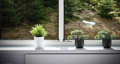 RentPlanet - Apartamenty Żeromskiego