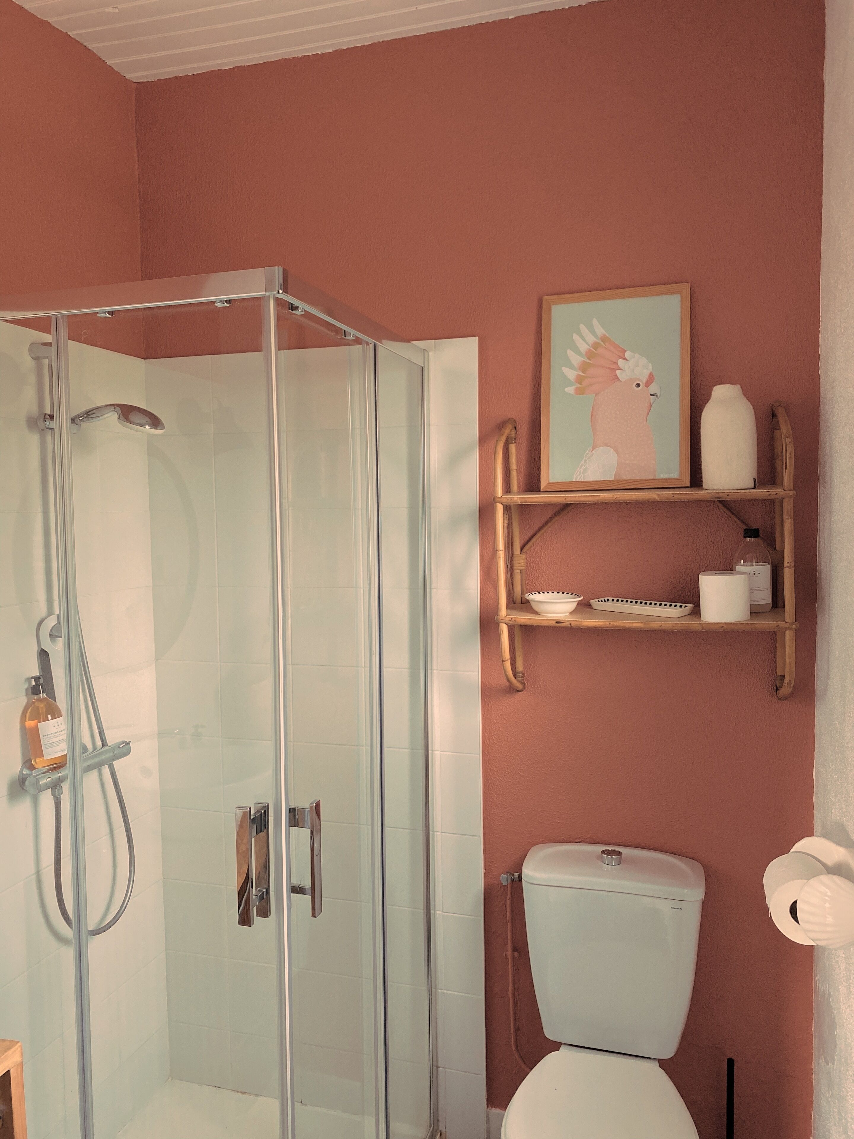 Douche, sèche-cheveux, serviettes fournies, savon