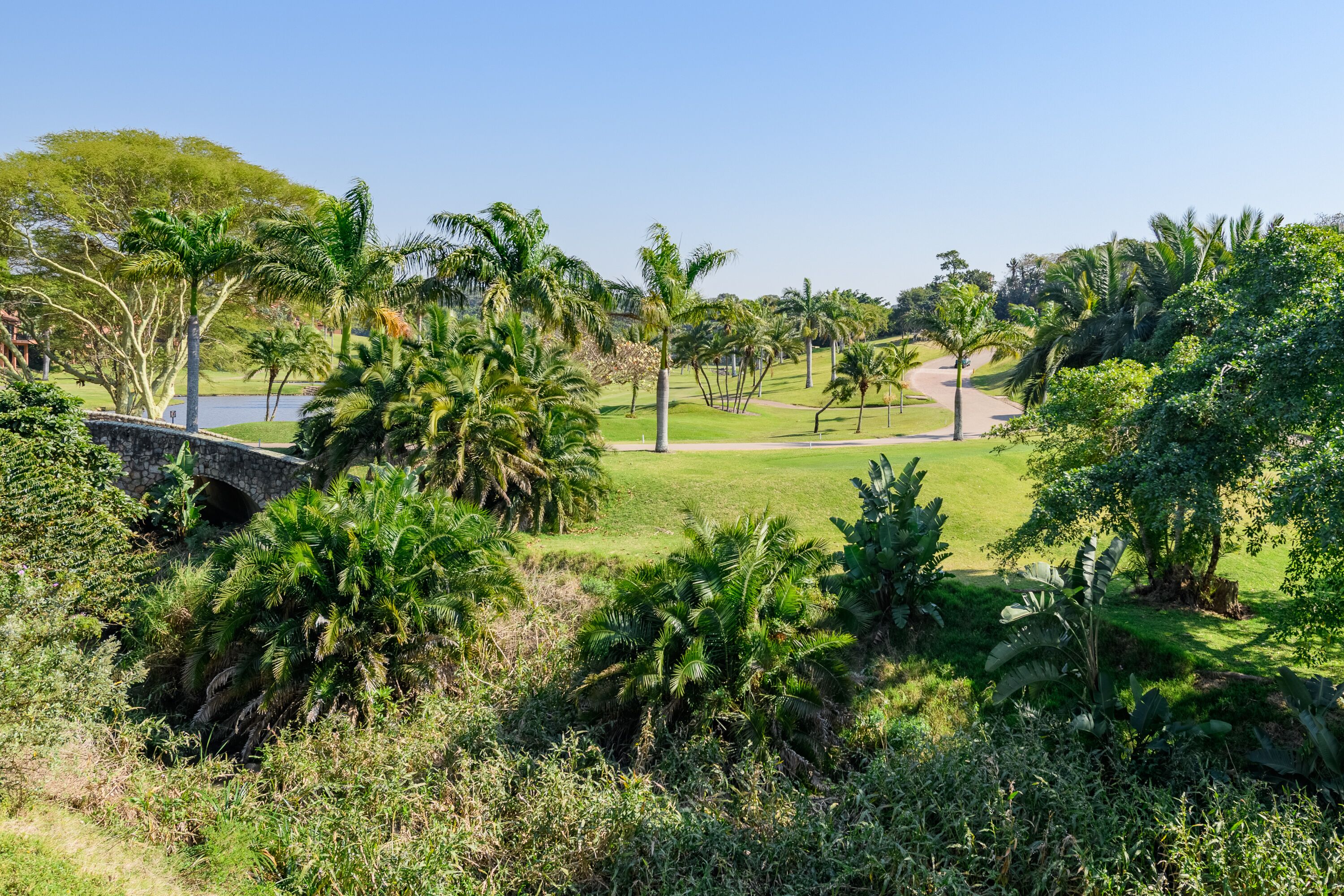 A lush golf course with a stone bridge, palm trees, and a clear blue sky.