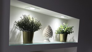 A shelf with books and two potted plants. - Motta Palace Apartments and Rooms (Motta Sant'Anastasia)