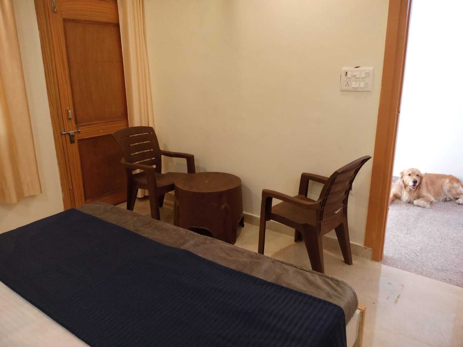 A room with a bed, two wooden chairs, a small round table, and a dog lying on the floor.