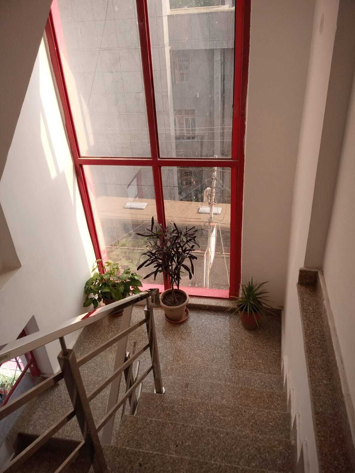 A staircase with a view of a street outside through large windows.