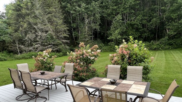 An outdoor deck with a table and chairs, surrounded by lush greenery and flowering bushes.
