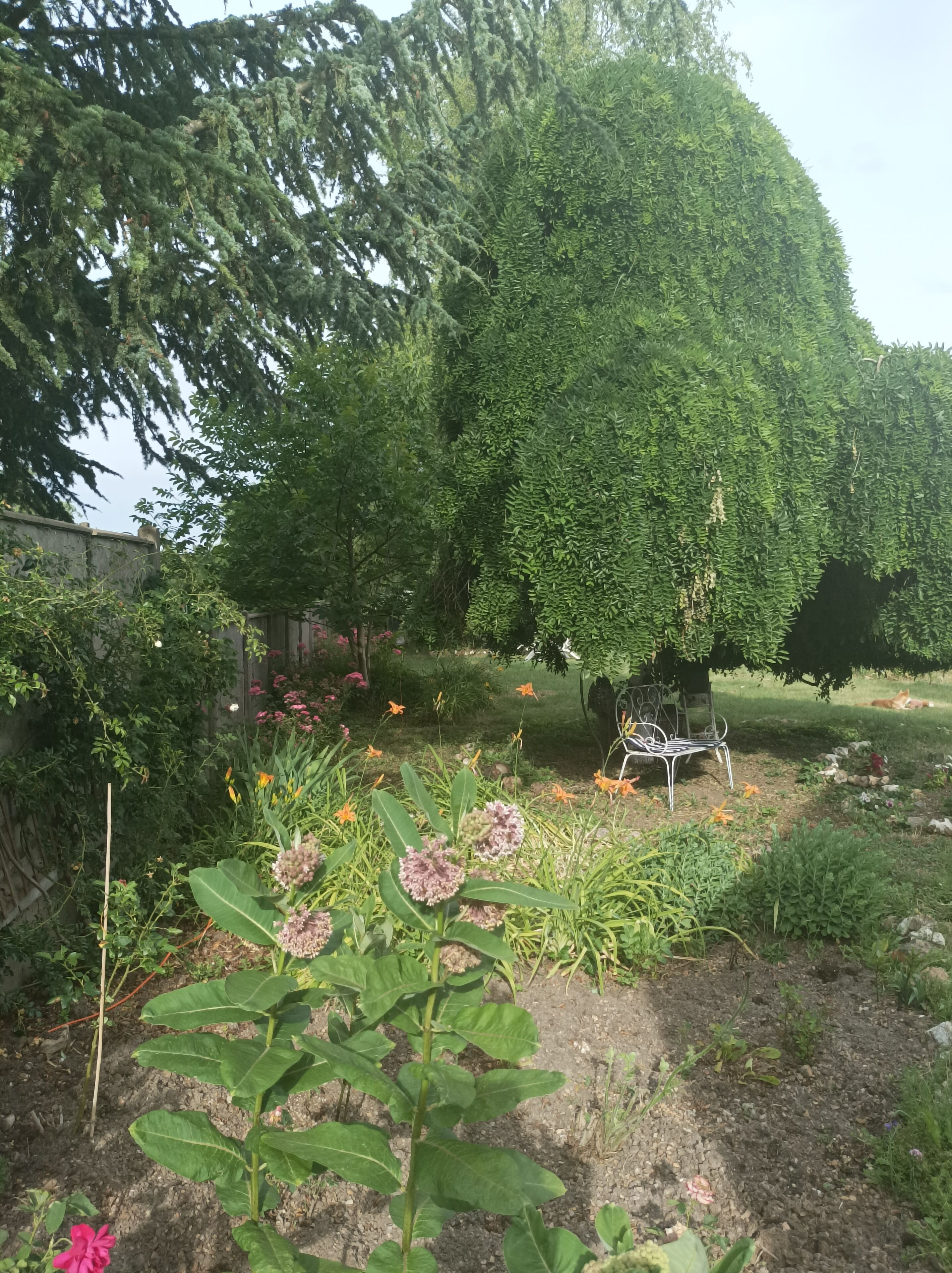 Terrain de l’hébergement 