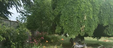 Overnattingsstedets uteområder