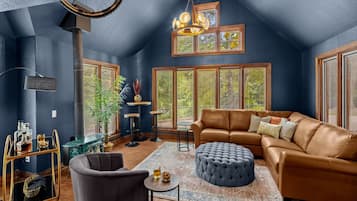 Smart TV, chimenea y libros