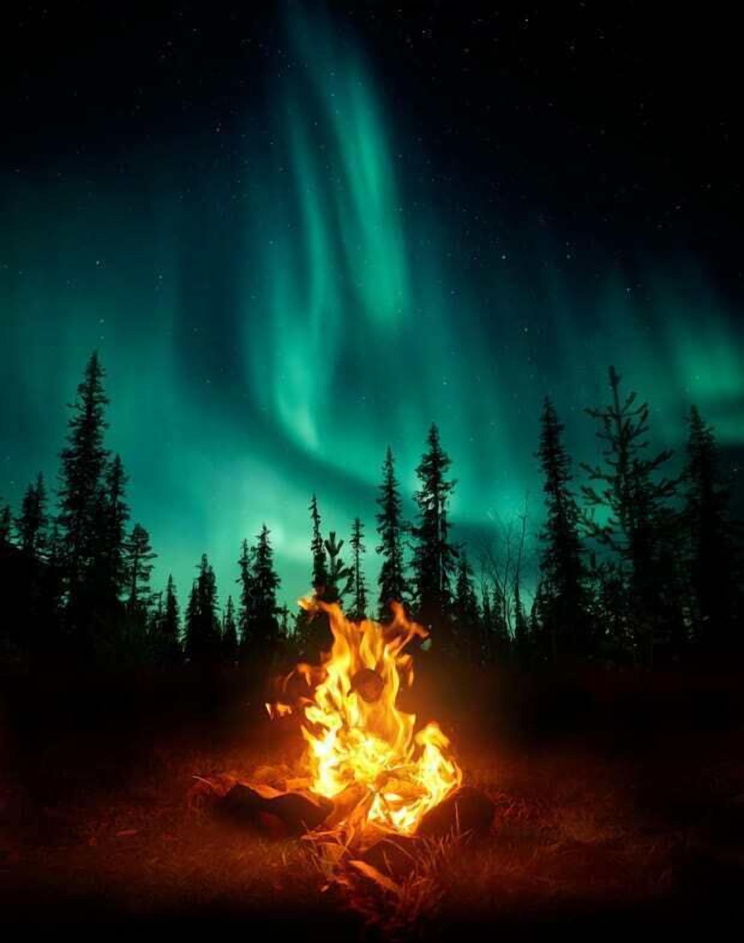 A campfire with a forest and aurora borealis in the background.