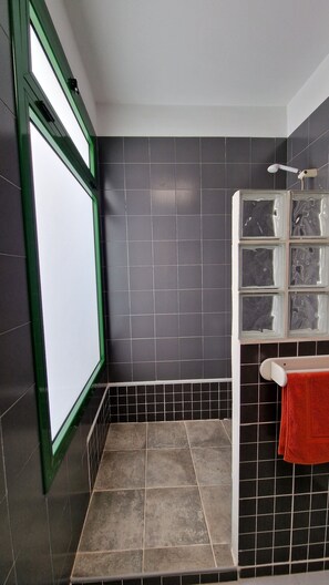 Regadera, secadora de cabello, bidet, toallas 