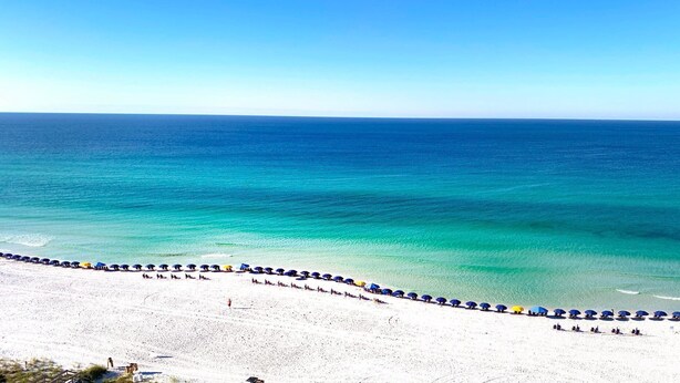 Ein Strand mit einer Reihe von Sonnenschirmen und freiem Blick auf den Ozean.