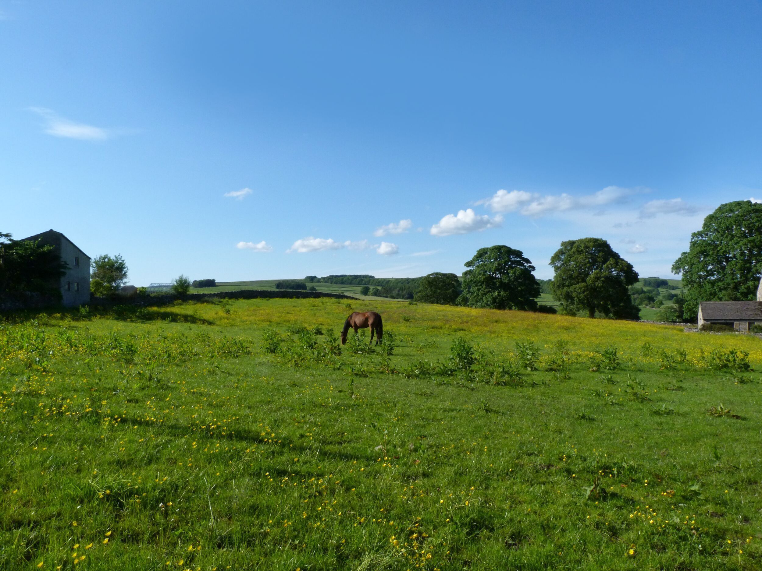 A rural landscape with a horse grazing, a stone house, and rolling hills in the background.