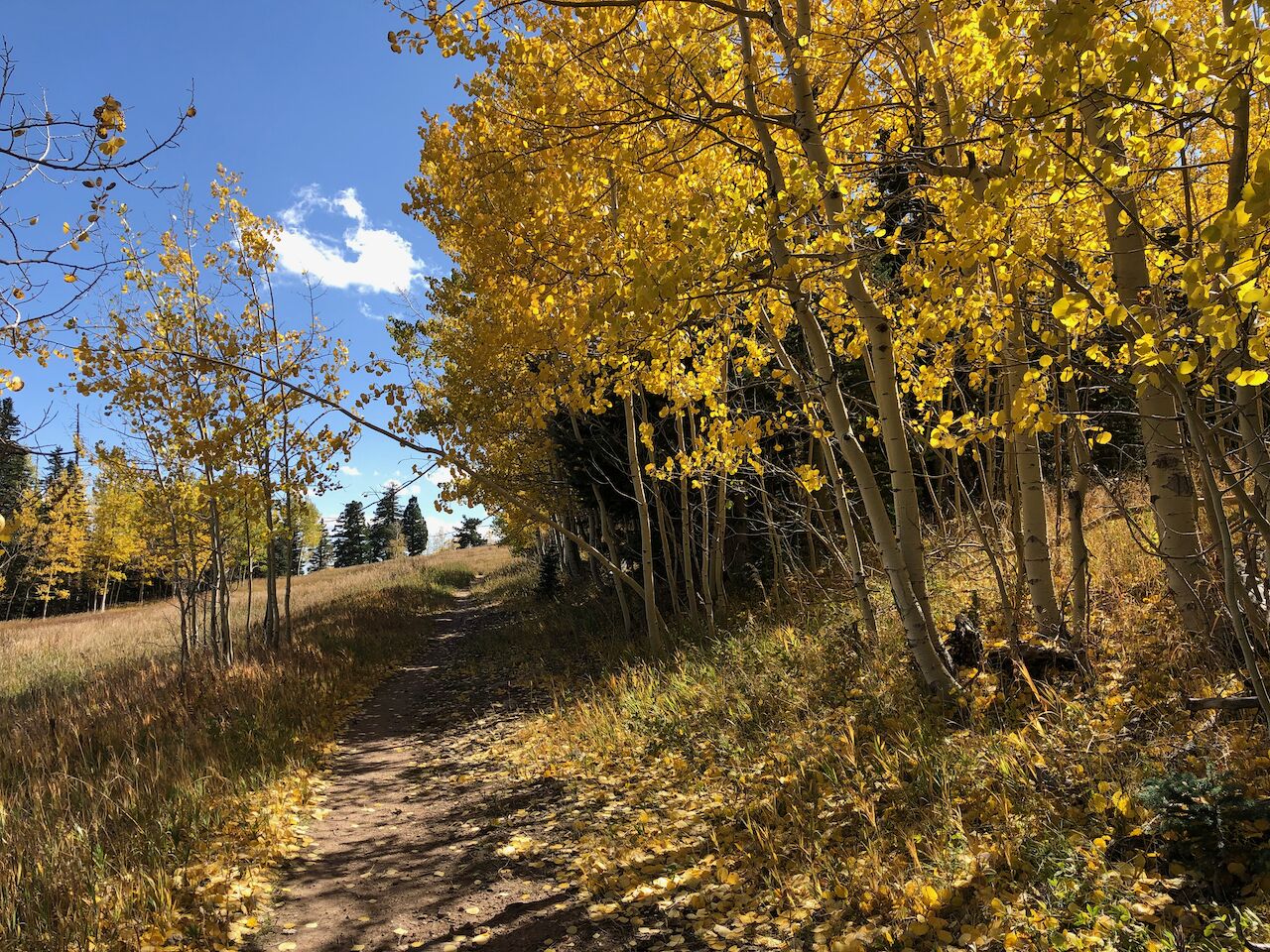 Fall hiking in the Sandia mountains above the house