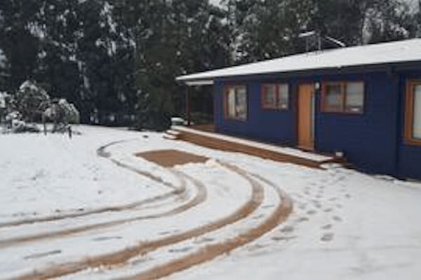 Welcome to the Blue House