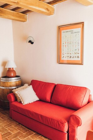 Living area - Podere Biricocolo-Il Cortile- In the  countryside, 20 km from  Siena.  (Toscana)