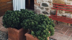 Un bâtiment en pierre avec une porte en bois et un rideau blanc. Deux plantes en pot sont placées devant.